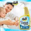 Clr Brilliant Bath Lavender Scent Foaming Cleaner 26 oz Liquid BB26-6-LV